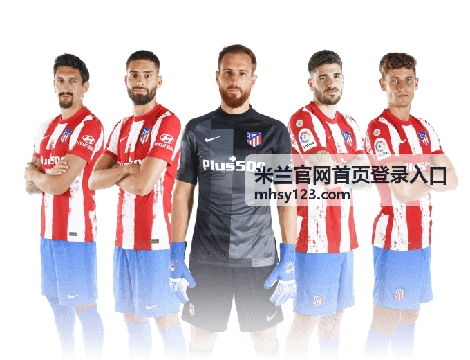米兰官网首页登录入口官方客户端主界面预览