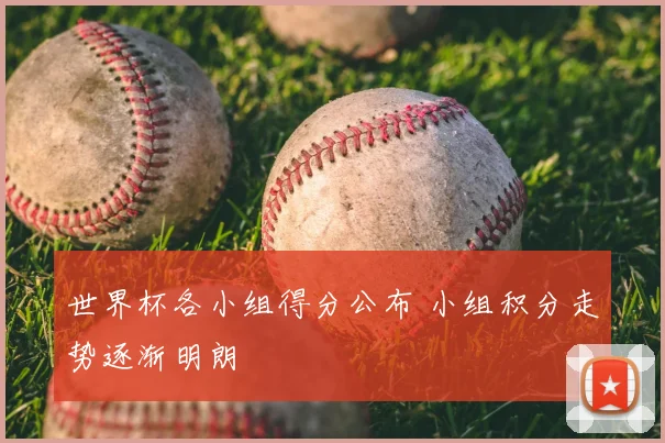 世界杯各小组得分公布 小组积分走势逐渐明朗