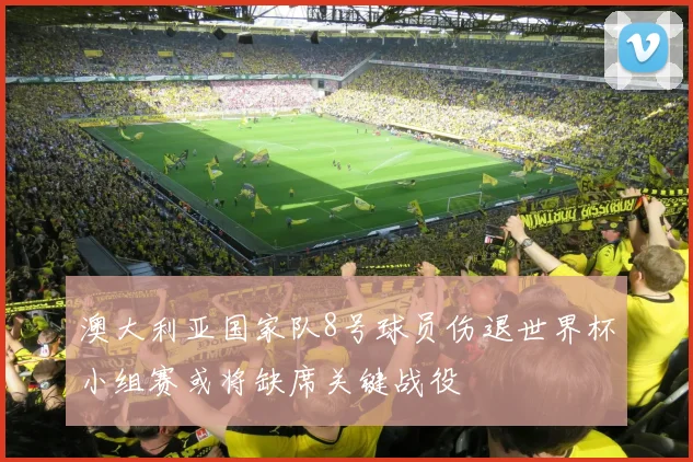 澳大利亚国家队8号球员伤退世界杯小组赛或将缺席关键战役