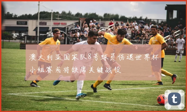 澳大利亚国家队8号球员伤退世界杯小组赛或将缺席关键战役