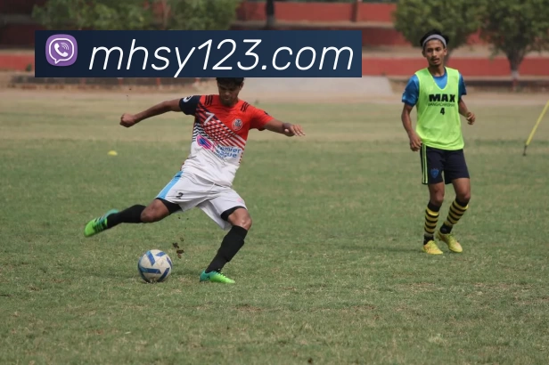 hth华体网站登录入口 - 华体(中国)平台生态图